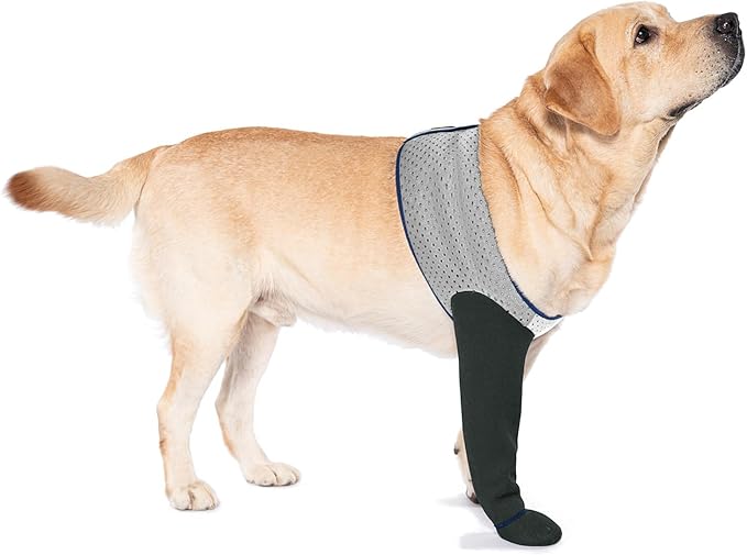 COODEO Dog Socks to Prevent Licking Paws, Healing Boots & Paw Protectors with Non-Slip Bottoms for Wound Protection, Waterproof Sleeve Shoes for Licking(Grey,XL_Right