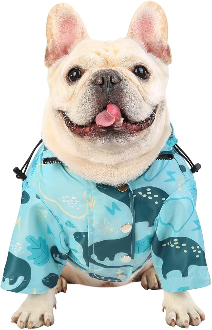 HDE Dog Raincoat Poncho Double Layer Zip Rain Jacket with Removable Hood, Leash Hole for Small to 3XL Dogs and Puppies Dinosaurs - L