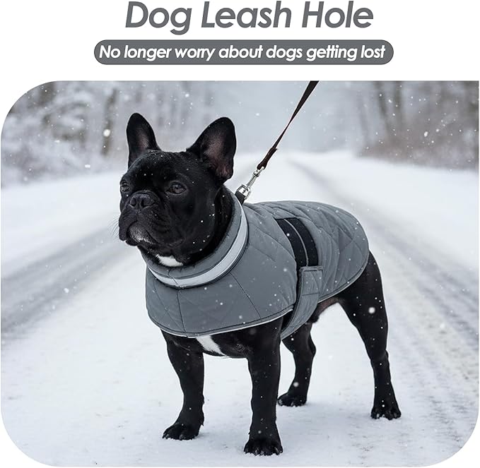 Dog Winter Coat Warm Padded Puppy Jacket Windproof Water Resistant Clothes for Small Medium Large Pets Christmas Sweater Outfit Vest(Grey, M)