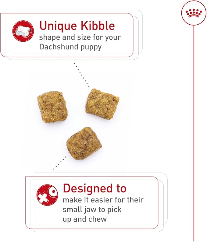 Royal Canin Breed Health Nutrition Dachshund Puppy Dry Dog Food, 2.5 lb Bag