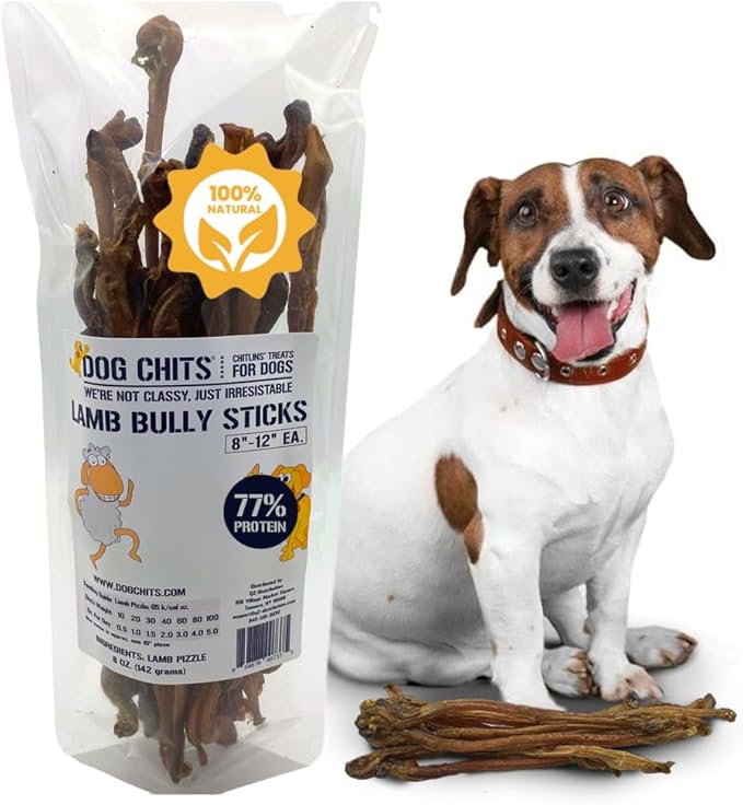 Dog Chits Lamb Bully Sticks for Dogs and Puppies | 8 oz (12 Pieces+) | Natural Healthy Long Lasting Chew for Large and Small Dogs Protein Treats | Odor Free