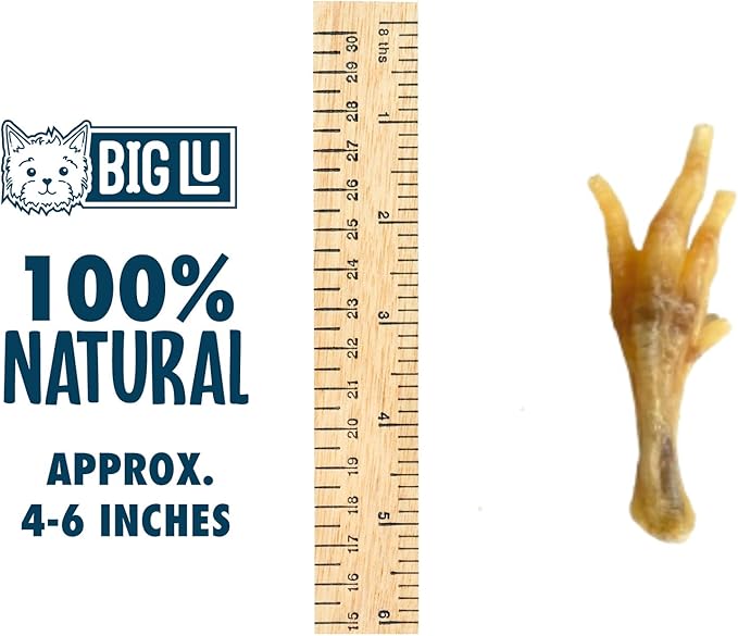 Big Lu – Nail-Free Chicken Feet Dog Chews, 100% Natural Single-Ingredient Treats, Rawhide-Free, Long-Lasting, Rich in Glucosamine and Chondroitin for Joint Health (60 Count)