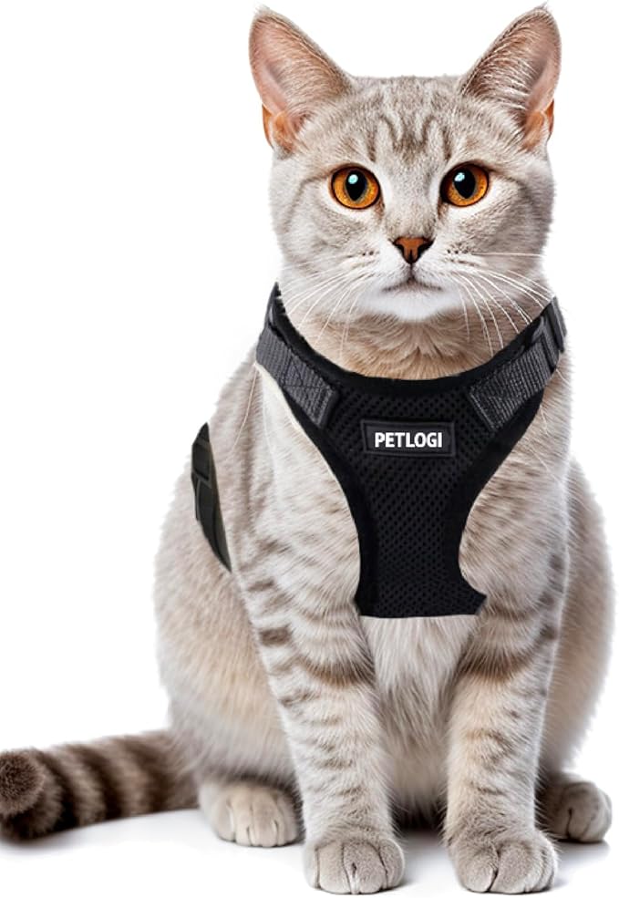 Cat Harness Escape Proof with Leash for Walking, Travel Vest Soft Chest Support, Adjustable Size, Escape Proof Soft Adjustable Vest Harnesses, Breathable, Kittens, Small Dogs (美/背縄/黒1/XS)