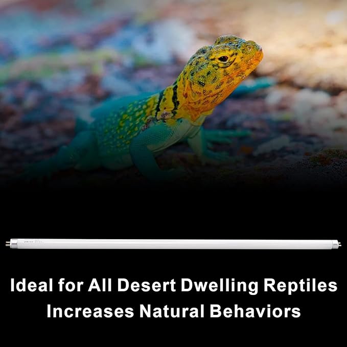 Aiicioo T5 HO Reptile UVB Light - Desert UVA UVB 10.0 Fluorescent Lamp 22" Tube Lighting Desert Reptile UVB Lamp 24W for Turtles Chameleon Tortoises Lizard Bearded Dragon
