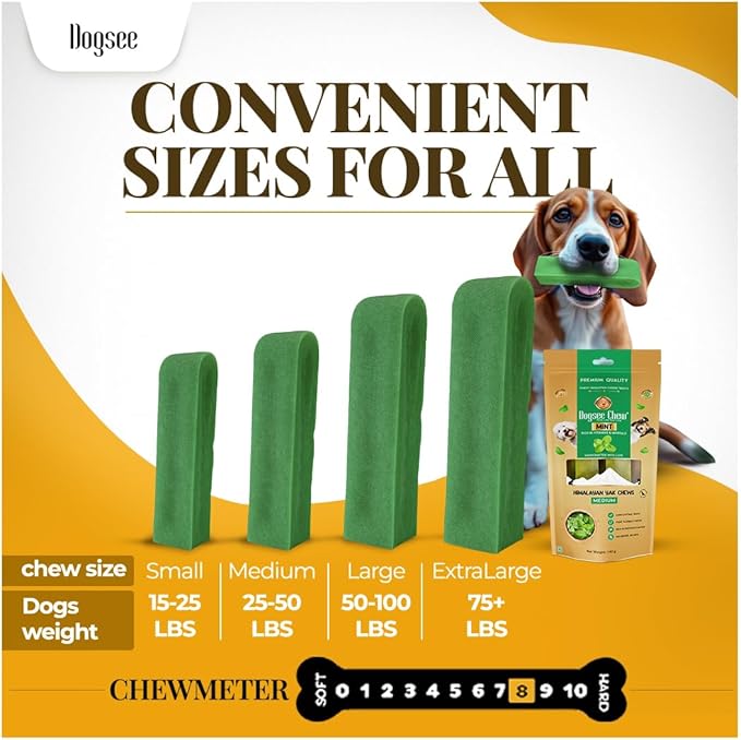 Dogsee Mint Flavor Himalayan Yak Chews for Dogs (Medium - 4 Bars) | Aid Digestion | Dog Chews for Teeth Cleaning | Odorless Dog Treats | Rawhide Free | Long Lasting