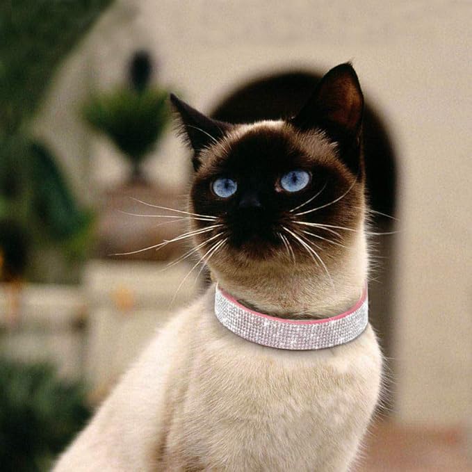 Cute Dog Collar with Bling Rhinestone, Fancy Crystal Diamond Glitter Pretty Jewel Soft Cat Collars for Small Medium Large Breed Dogs Girl Female Pet Puppy Kitten Terrier (M, Purple4)