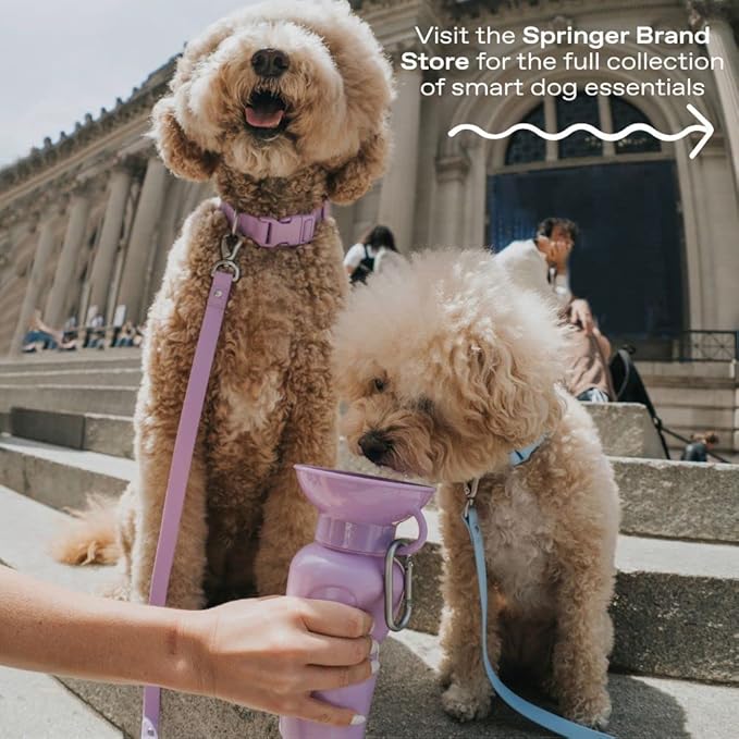 Springer Dog Water Bottle | Portable Travel Water Bottle Dispenser for Dogs | Dog Gift Seen on Oprah's Favorite Things, Shark Tank | Leak-Proof Bottles Fill Bowl with Water | BPA-Free 44oz Sky Blue