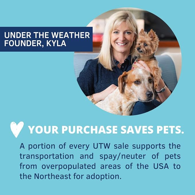 Under the Weather Pet | Ready Cal for Puppies 80cc | High Calorie Puppy Nutritional Supplement | Puppy Weight Gainer and High Calorie Booster | 10 Vitamins, 7 Minerals & Omega Fatty Acids