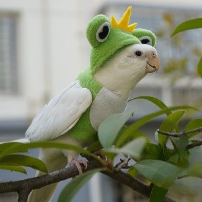 Bird Costume Diaper Flight Suit Frog Shape Hoodie Clothes Cosplay Photo Prop for Parrots Parakeet Cockatiel Sun Conure, Small Animals Apparel (Green Without Diaper, Large), (BPF1)