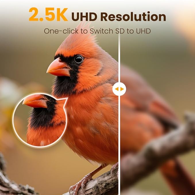 Smart Bird Feeder with Camera, 2.5K UHD Bird Feeder Camera Solar Powerd, Sensitive AI Bird Identification, Instant Alerts Capture Bird Video, IP66 Bird Feeder for Outdoor, Ideal Gift, Yellow