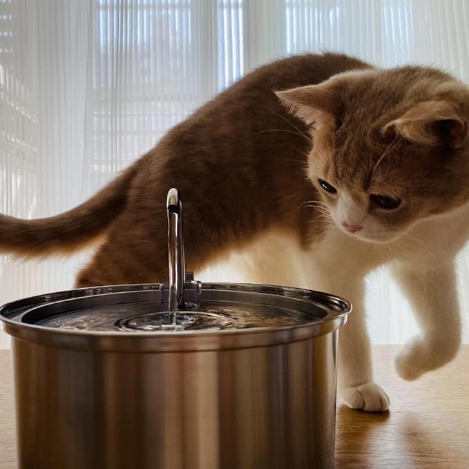 The KittySpout Stainless Steel Wireless Cat Water Fountain, 4L/108oz