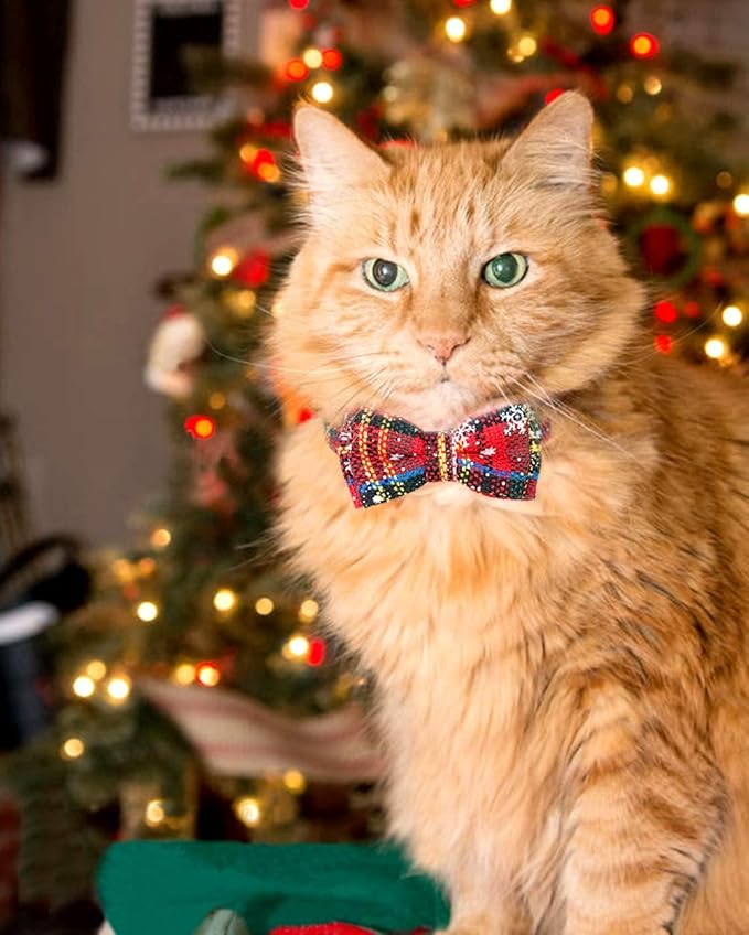 Joytale Upgraded Christmas Cat Collar with Bells, Breakaway Cat Collars with Bow Tie, 1 Pack Girl Boy Safety Plaid Kitten Collars, Christmas Red