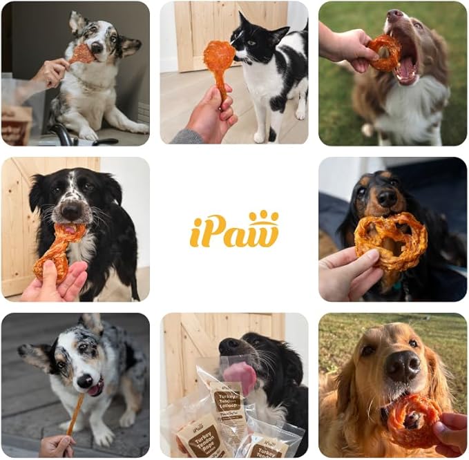 iPaw Turkey Tendon for Dogs, Ingredient Sourced from USA, Hypoallergenic, All Natural Human Grade Puppy Chew, Dog Treats for Signature Series, Rawhide Alternative, 40 Units/Box Ring (Small)