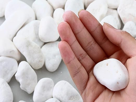 17.6 Lbs Natural River Rocks for Plants 1''-2'' Large Landscaping Garden Stones White Aquarium Gravel Decorative Pebbles for Indoor Outdoor Planters, Big Terrarium Rocks in Bulk, Home Decor