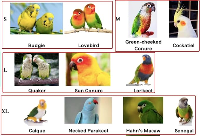Bird Costume Diaper Flight Suit Frog Shape Hoodie Clothes Cosplay Photo Prop for Parrots Parakeet Cockatiel Sun Conure, Small Animals Apparel (Green Without Diaper, Large), (BPF1)