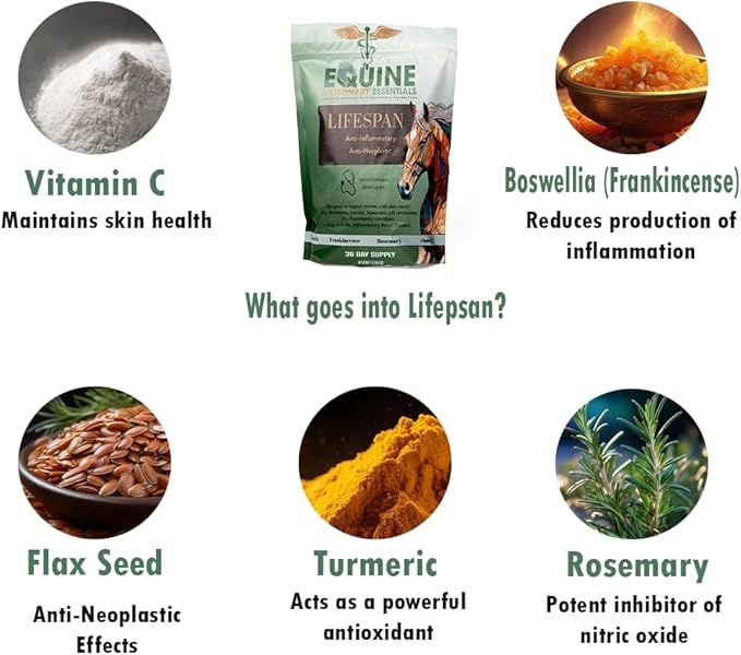 Equine Wellness Bundle | Joint & Skin Care for Horses | Lifespan Anti-Inflammatory Powder Supplement + Equi-SARC Sarcoid Cream | Natural Joint Support & Skin Health Formula