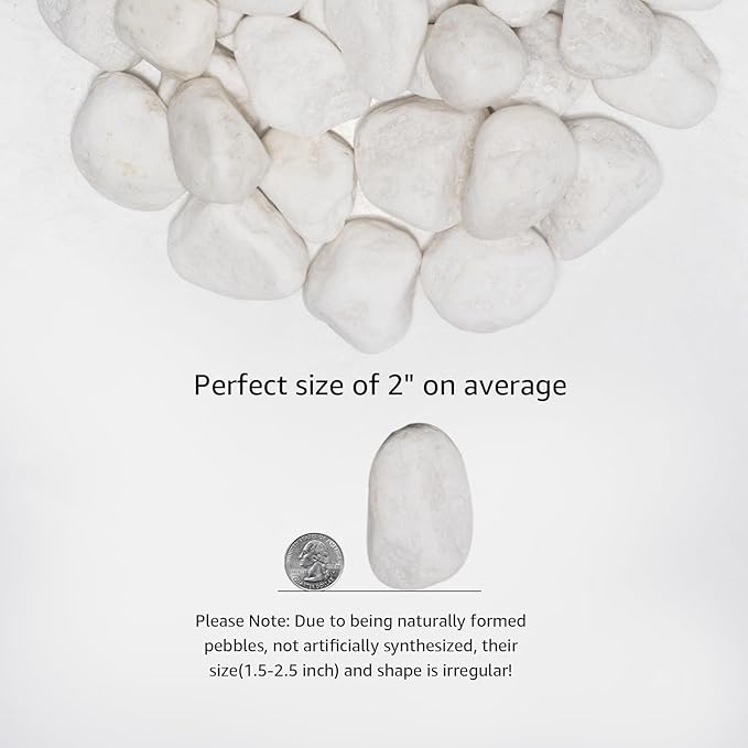 White Natural River Rocks, 1.5-2.5 Inch Decorative Stones for Plants, Garden, and Landscaping – 40LB, Ideal for Fish Tanks, Vases, Crafting, Home Decor, and Outdoor Landscaping