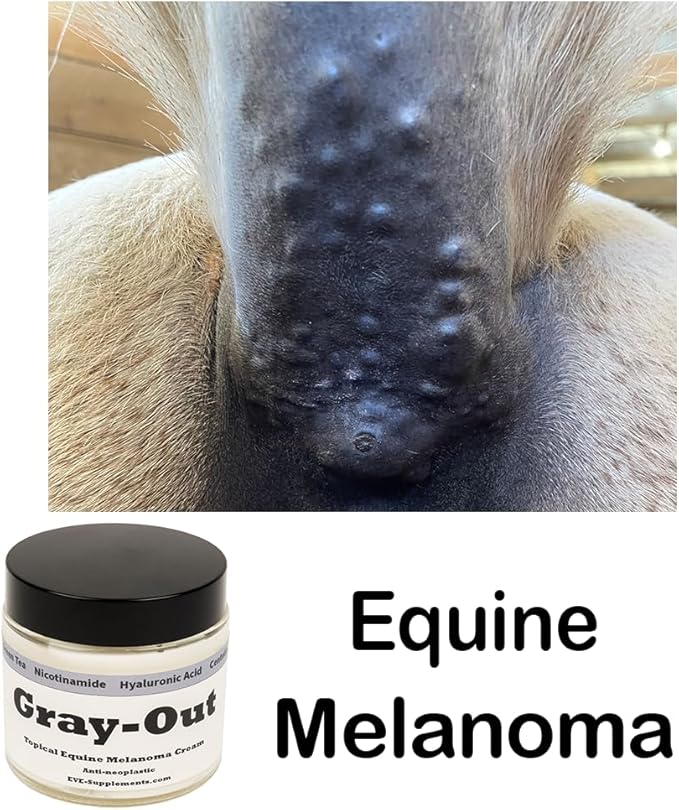 Lifespan & Gray-Out Equine Care Bundle | Herbal Anti-Inflammatory Oral Supplement + Melanoma Cream Joint, Mobility & Skin Health Support for Horses | Wellness Pack