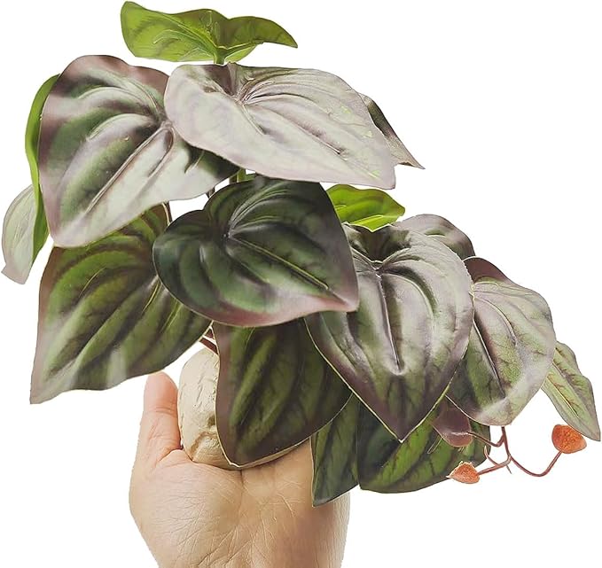 Reptile Plants for Terrarium Decor,Amphibian Habitat Decor,Artificial Plants for Gecko Chameleon Snake Tortoise Tank Accessories with Base (red Watermelon peperomia)