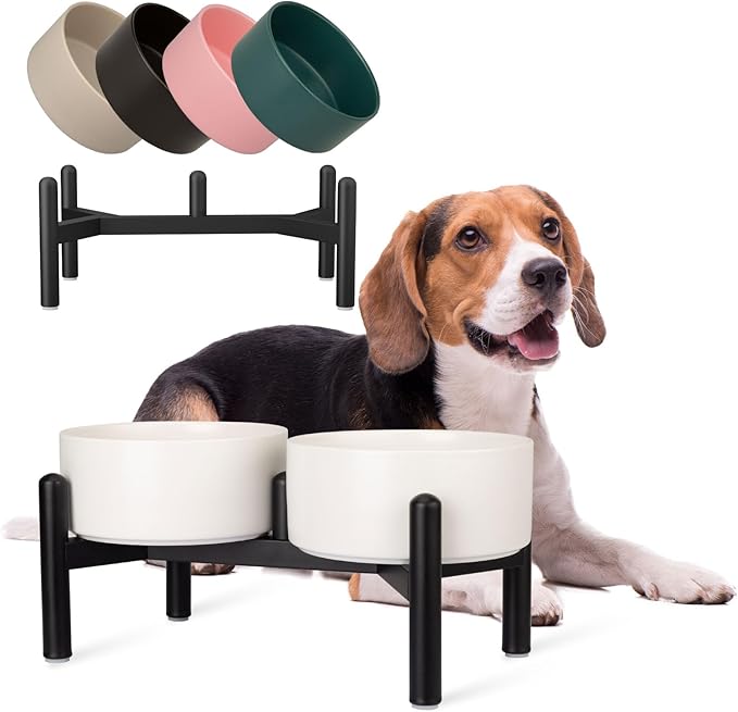 Raised Ceramic Dog Bowl Set - Elevated Double Dishes with Stainless Steel Stand - Food and Water Bowls for Small to Medium Dogs - Each Holds 2 Cups (28.75 fl oz) - White
