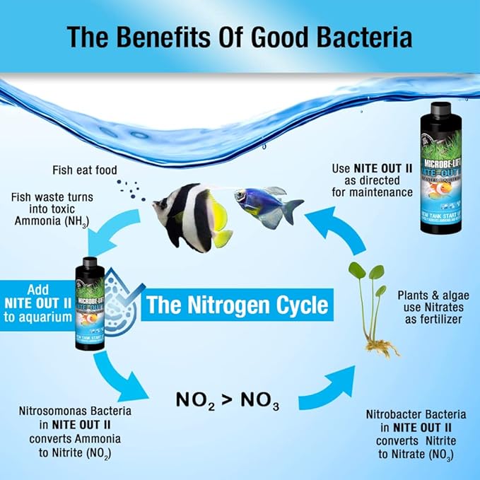 MICROBE-LIFT NITEH16 Nite-Out II Aquarium and Fish Tank Cleaner for Rapid Ammonia and Nitrite Reduction, Freshwater and Saltwater, 16 Ounces