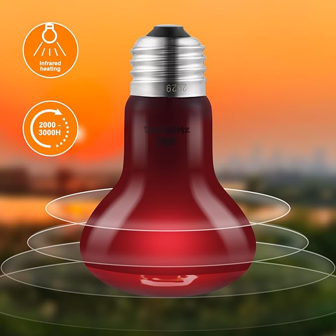 2 Pack 75W Reptile Heat Lamp Bulbs Reptile Heat Bulbs, UVA Basking Bulb and Infrared Light Bulb Combo, Basking Light for Bearded Dragon, Turtles, Snake and Lizard
