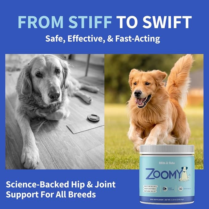 Zoomy Dog Joint Supplements with Glucosamine Chondroitin MSM - Mushroom Powered Hip Joint Support for Large Senior Dogs - Beef Flavored Natural Pain Relief Powder
