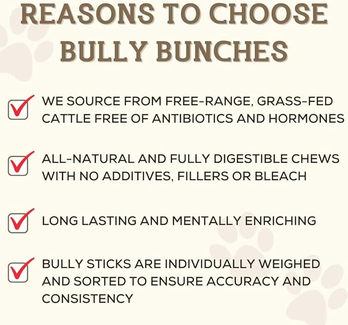 Bully Bunches Premium 6 Inch Standard Odor-Free Bully Sticks for Small to Medium Dogs & Puppies - Long Lasting Chews for Oral Care - All Natural, 100% Beef Dog Treats, Rawhide Free (10 Pk)