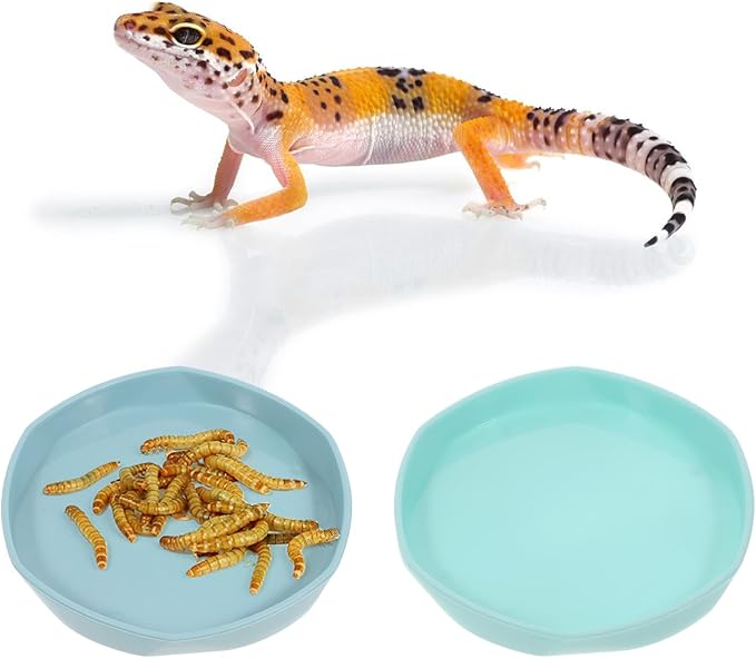 Reptile Water Dish, 4 PCS Bearded Dragon Water Bowl Shallow and Flat Reptile Food and Water Feeder Small Water Dish Tiny Plastic Feeding Dish for Lizard Gecko Chameleon Anoles