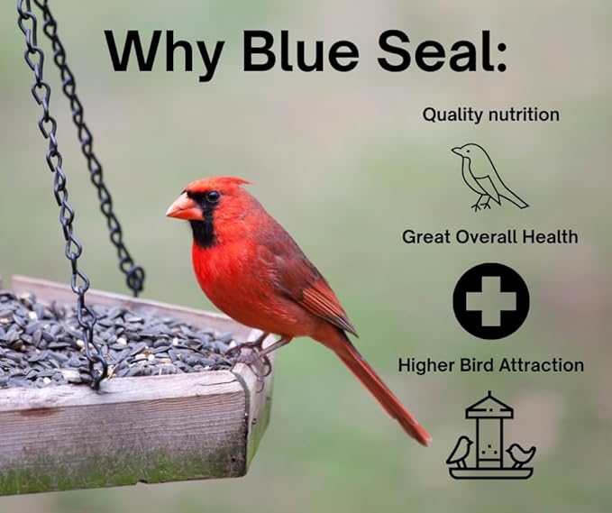 Blue Seal Neat Feast Wild Bird Seed | Attracts Wide Variety of Wild Outside Birds | Seed for Outside Feeder | Convenient Shell-Free Mix | Made in USA | 8 Pound Bag