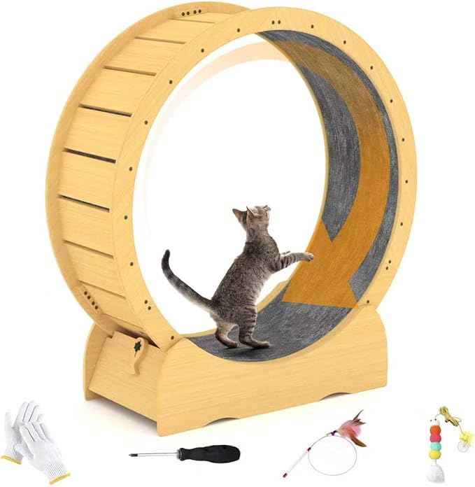 45" Cat Wheel,cat Wheels for Indoor Cats,Noise-Free Pet Fitness Toy,Safety Treadmill with Lock Minimized Gap Design,to Reduce Boredom & Anxiety - Easy Assembly