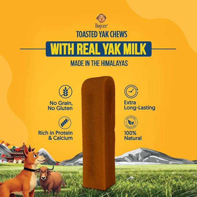 Dogsee Toasted Yak Cheese Himalayan Dog Chews (Medium - 3 Chews) | Extra Long-Lasting | Double Cooked for Extra Smoky Cheese Flavor | Rich in Protein & Calcium | Easy to Digest | for Cleaning Teeth