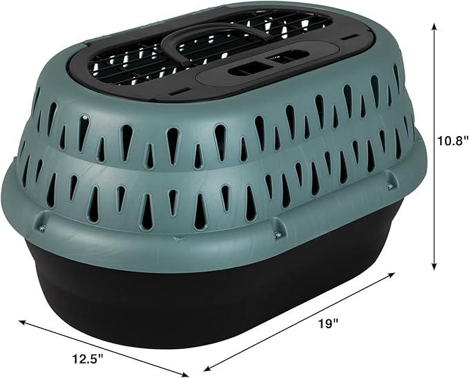 Petmate Dog Crates for Small Dogs & Cat Carriers, One-Door Plastic Pet Kennel, Front Loading, Made in USA, 19", Green