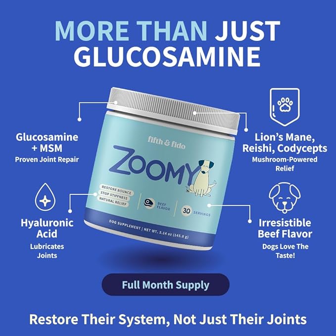 Zoomy Dog Joint Supplements with Glucosamine Chondroitin MSM - Mushroom Powered Hip Joint Support for Large Senior Dogs - Beef Flavored Natural Pain Relief Powder