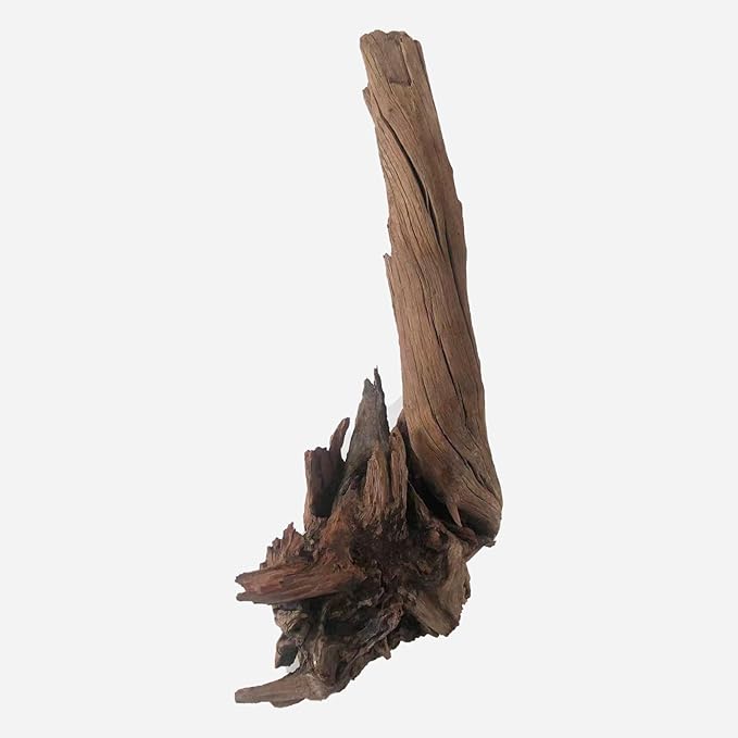 Natural Driftwood for Aquarium Decor, L12.2×W9.45×H19.69 Inches Large Drift Wood Decorations for Reptile Hide, Fish Tank, Optional Shapes