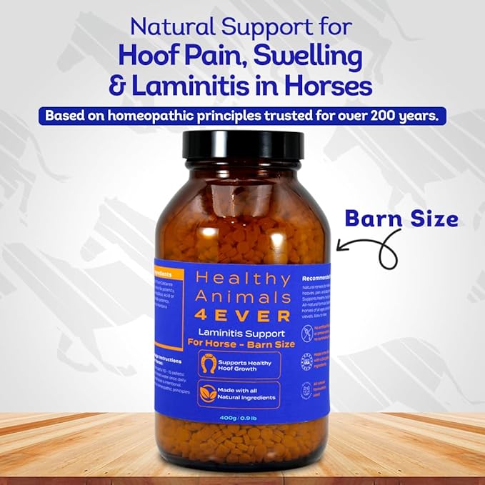 HealthyAnimals4Ever HA4E - Horse Laminitis Support - Hoof Care for Damaged & Injured Hooves - Highly Effective, Natural Homeopathic Supplement - Pellets, Barn Size