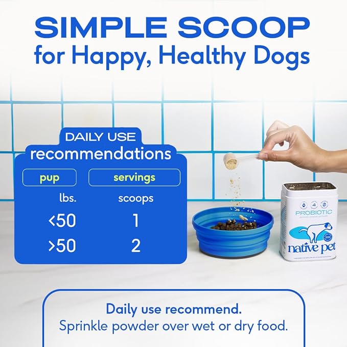 Native Pet Probiotics for Dogs - Dog Probiotics Powder for Digestive Health, Gut Support, & Immune Boost – Vet-Formulated Powder for Maximum Potency with Digestive Enzymes & Prebiotics - 60 Scoops