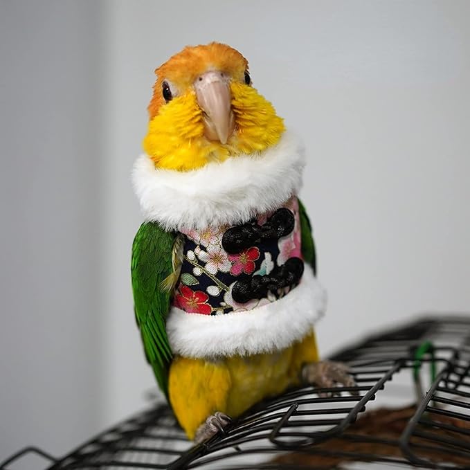 Bird Costume Bird Flight Suit Bird Clothes Cosplay Photo Prop for Parrots Parakeet Cockatiel Sun Conure, Bird Hoodie Small Animals Apparel (Black, Large)