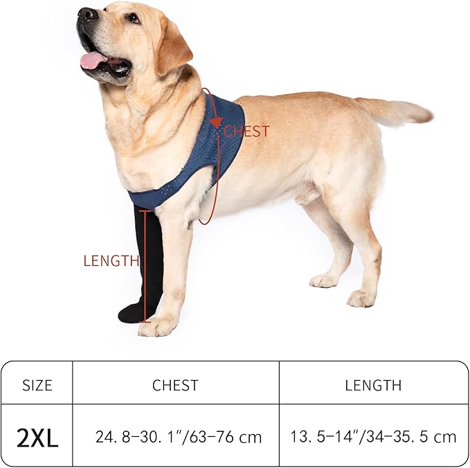 COODEO Dog Socks to Prevent Licking Paws, Healing Boots & Paw Protectors with Non-Slip Bottoms for Wound Protection, Waterproof Sleeve Shoes for Licking(Blue,2XL_Left
