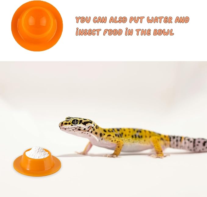 2 Pack Gecko Calcium Dish - Food and Water Bowl for Leopard Geckos, Small Reptiles