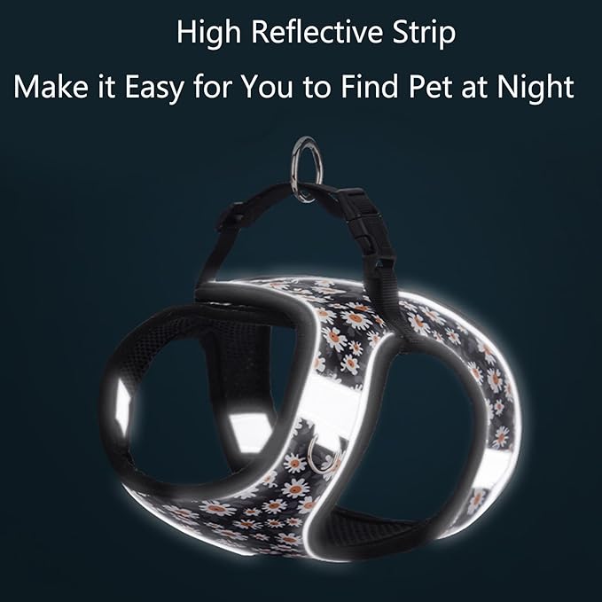 Small Dog Harness and Leash Set, Step in Dog Harness No Pull for Walking Running Training, Puppy Essentials for Dogs Cat Bunny, Adjustable Reflective Dog Vest Harness. (Black, M)