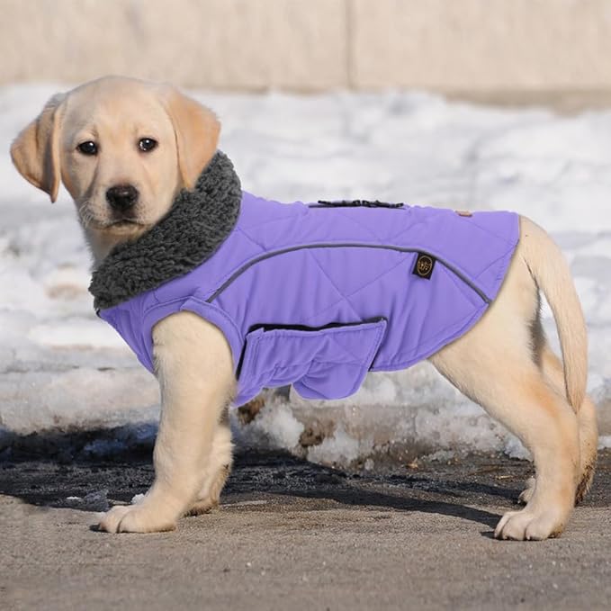 EMUST Dog Jackets for Winter, Cold Weather Coats for Dogs, Soft Winter Jackets for Medium Large Dog, Pet Vest for Small Medium Large Dogs, Purple, L