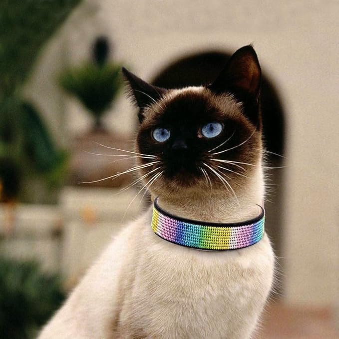 Cute Dog Collar with Bling Rhinestone, Fancy Crystal Diamond Glitter Pretty Jewel Soft Cat Collars for Small Medium Large Breed Dogs Girl Female Pet Puppy Kitten Terrier (XS, Black3)