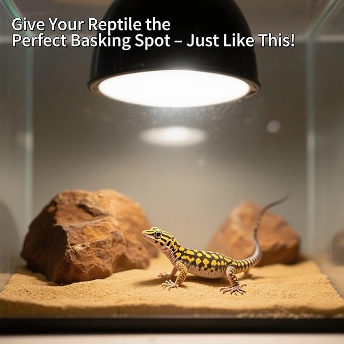 Reptile Light Fixture 2 Packs 5.5'' – Dual Use Dome Lamp with Ceramic Socket for Heat Emitter & Basking Bulbs – Ideal for Bearded Dragon, Snake, Chameleon,Snake Turtle Terrariums