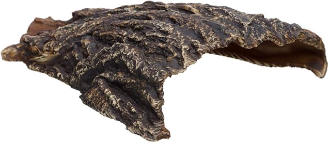 Plecoceramics Aquarium Cave - Ceramic Betta Fish Tank Decor - Natural Aquarium Decor - Large Reptile Hide - Fish cave Hideout - Snake Hide - Cave for Cichlids and plecos (Cave)