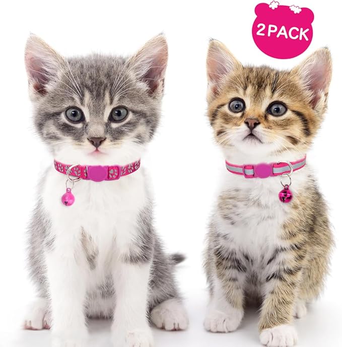 Taglory Kitten Collar Breakaway with Bell, 2 Pack Girl Boy Pet Kitten Collar Adjustable 6-8 Inch for 2-6 Months Cat, HotPink