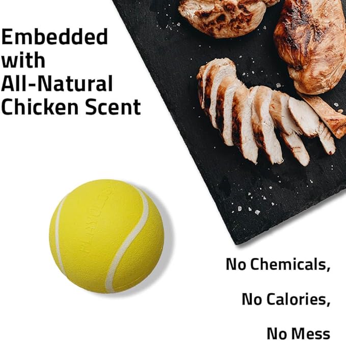 Playology Dog Toys | Squeaky Chew Ball - Bouncy Durable Floating Fetch Ball for Dogs | Medium Chicken Scented Toy - Easy to Clean and Made from Non Toxic Materials