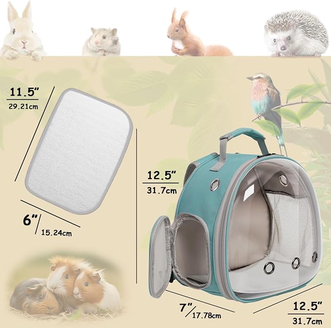 Guinea Pig Backpack Carrier, Bearded Dragon Carrier Backpack with Clear Bubble Window,Small Animal Travel Backpack for Hedgehog Rat,Chameleon,Rabbit,Sugar Glider,Airline Approved (Green, Backpack)