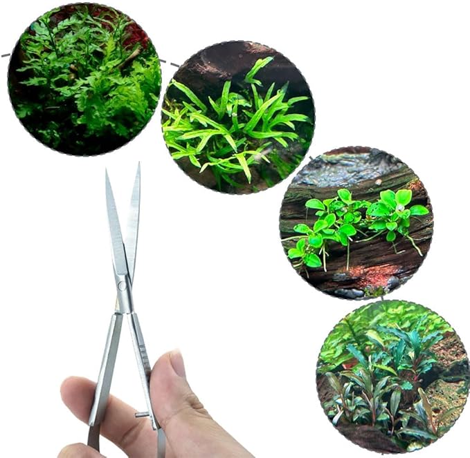 LINLAN Aquatic Plant Spring Scissors for Precise Trimming, Stainless Steel with Top Rebound Feel, Ideal for Aquatic Ferns and Microsorum Pteropus in Planted Tanks