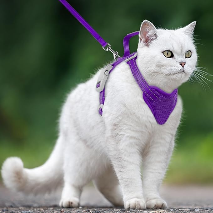 Cat Harness and Leash Set Escape Proof for Kitten Walking, Soft Adjustable Top Handle Vest Harnesses for Cats, Easy Control Breathable Reflective Small Medium Large, Purple, XXS